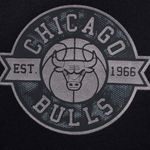 Pantalon Chicago Bulls Nba Jogger Metal Logo Regular Fit Hombre