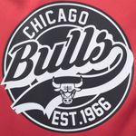 Campera Nba Bomber Sleeve Team Prints Hombre