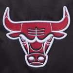 Campera Nba Bomber Sleeve Team Prints Hombre