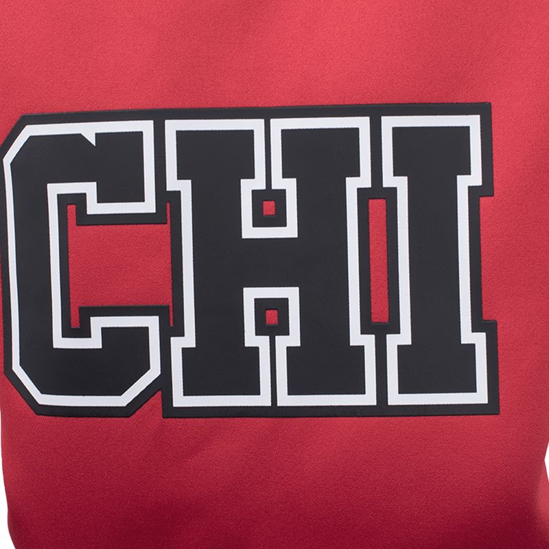 Campera Nba Bomber Sleeve Team Prints Hombre