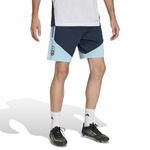 Short Argentina Adidas Afa Entrenamiento Tiro Pro 2026 Hombre