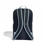 Mochila Argentina Adidas Afa 2026