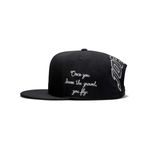 Gorra Jordan Pro Brooklyn Unisex