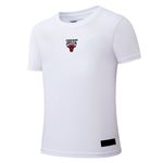 Remera Chicago Bulls Nba Back Metal Regular Fit Hombre