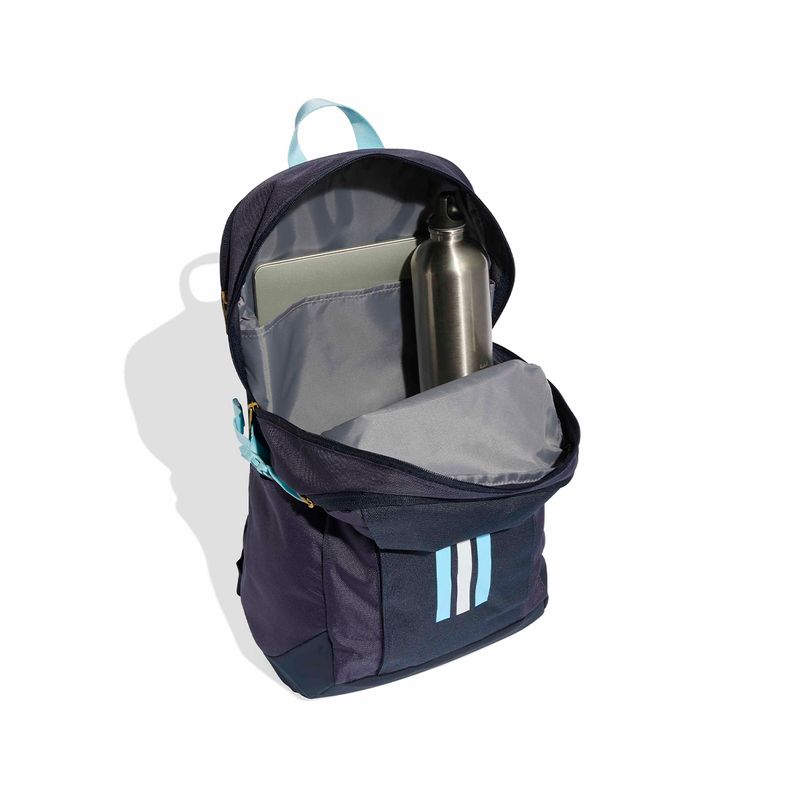 Mochila Argentina Adidas Afa Power Viii