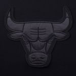 Buzo Chicago Bulls Nba Front Felt Base Logo Regular Fit