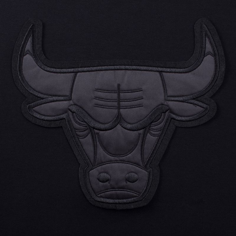 Buzo Chicago Bulls Nba Front Felt Base Logo Regular Fit