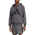 Buzo Adidas Sportswear Essentials Big Logo Hombre