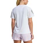 Remera Adidas Running Adi365 Climacool Mujer