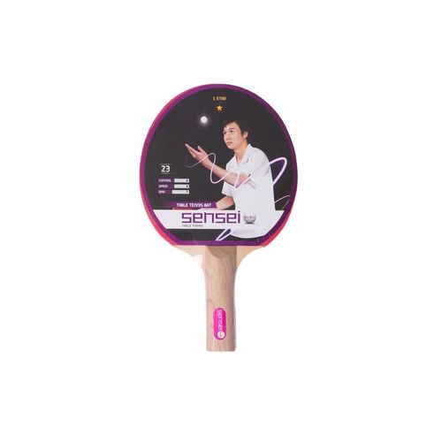 Paleta Dribbling Ping Pong 1 Star