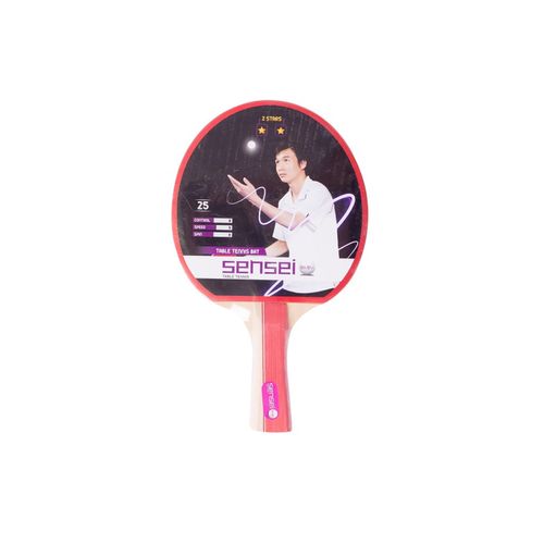 Paleta Dribbling Ping Pong 2 Star
